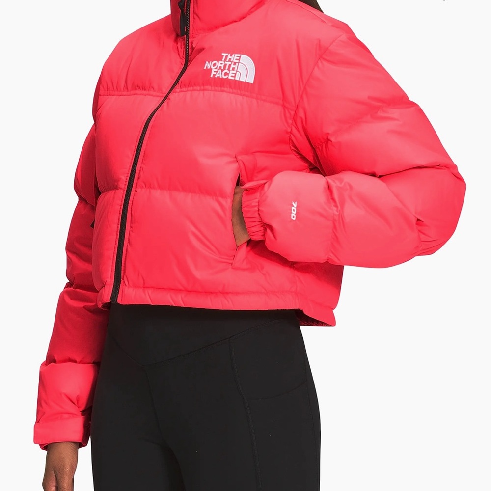 The North Face Women's Brilliant Coral Cropped Puffer Jacket - Picture 6 of 10